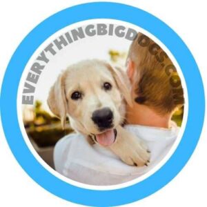 simple ways to improve your dog's life.