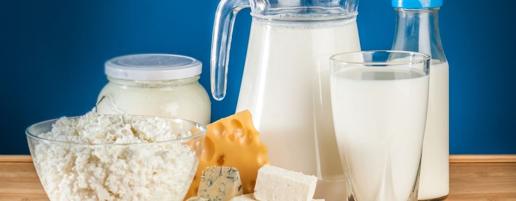 Dairy allergy in dogs