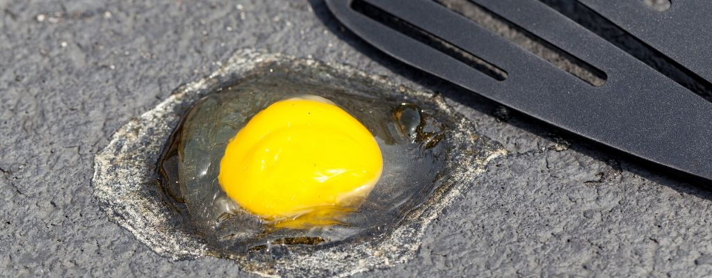 Too hot for dogs to walk on